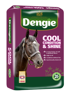 *BRANCH* Dengie Cool Condition & Shine 20Kg - OFFER PRICE WHILE STOCKS LAST